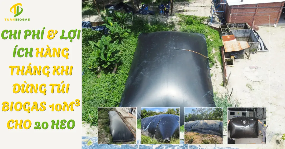 Giải Bài Toán Kinh Tế: Chi Phí Đầu Tư Và Lợi Ích Hàng Tháng Khi Dùng Túi Biogas 10 Khối Cho 20 Heo